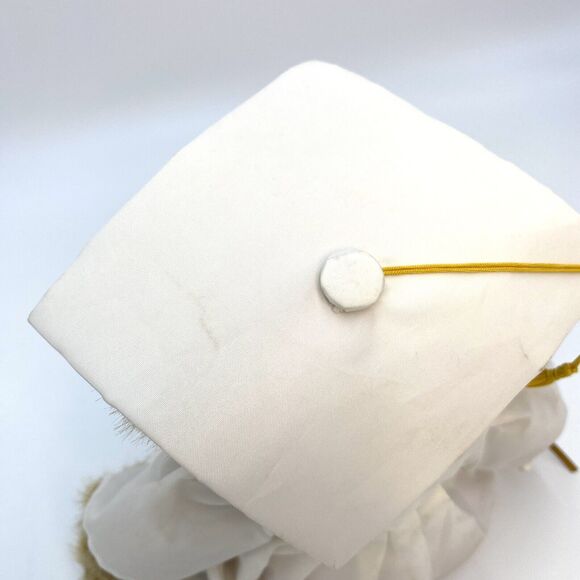 Boyds Bears Ima Scholar Graduation Bear Diploma White Gown Brown Teddy Plush 10" - Picture 7 of 9